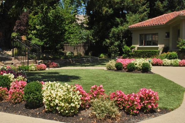 Austin Artificial Turf Lansdscaping
