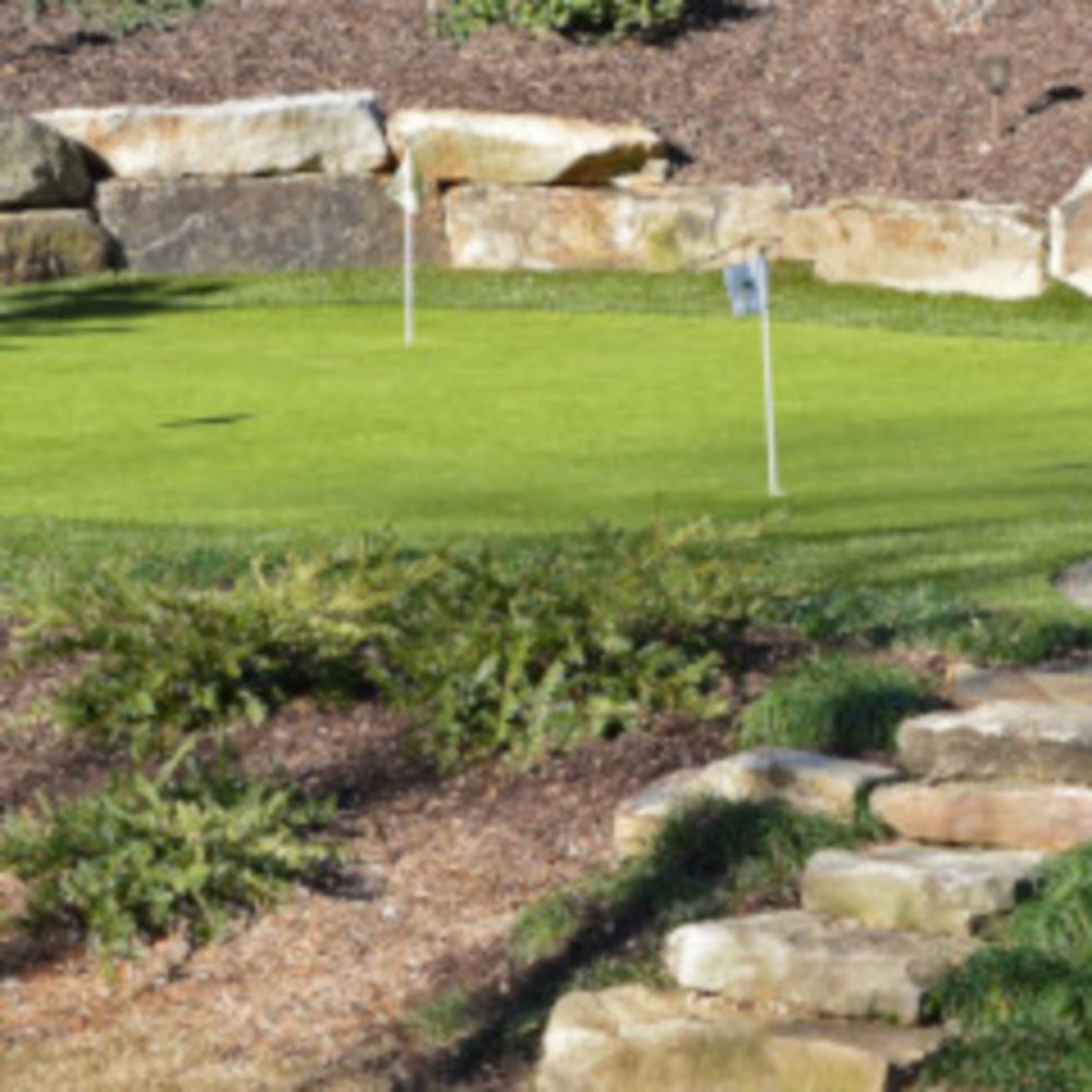 Top Trends For Austin Backyard Golf Putting Greens